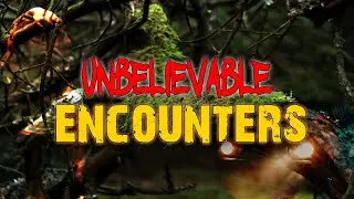 Into Darkness: Crazy and Strange CRYPTID Stories + More 😱😱