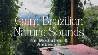 Calming Brazilian Nature Sounds for Meditation & Ambience