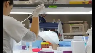 &iquest;De qu&eacute; depende de que se tenga m&aacute;s carga viral
