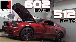 2014 Mustang GT Roush TVS Supercharger (BRENSPEED 710R) Dyno & Info