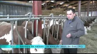 Saveur de saison - Le bleu du Pays de Gex