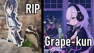 Ember Learns About Grape-kun, and Sees Some 