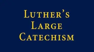 The New Catechism of the LC-MS