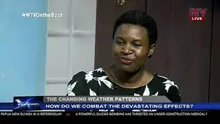 On The Spot: How do we combat the devastating effects of changing weather patterns?
