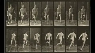Animal Locomotion: Plates #61-70 (1884-1887) by Eadweard Muybridge