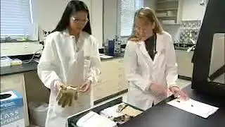 Training safety engineers