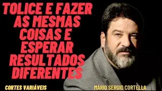 Tolice e Fazer as Mesmas Coisas e Esperar Resultados Diferentes / Mário Sergio Cortella