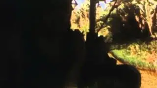 Vietnam1971 Unedited Flight