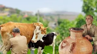 🐂🌴Milking and the art of butter making: an experience of rural life