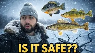 We Fished FIRST ICE in Montreal (Sketchy but Worth It?)