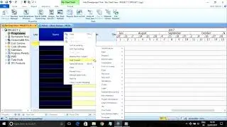 PROJECT 2 % Complete,EVM Report & Network Diagram