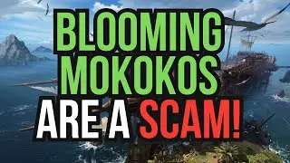 BLOOMING MOKOKOS EVENT SUCKSSSSS.... but some tips given