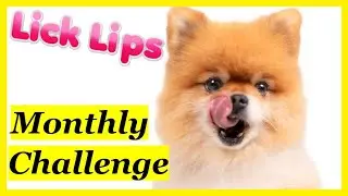 Lick Lips - Monthly Challenge May 2025