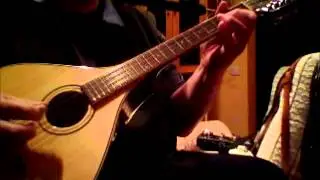 Trinity College Octave Mandolin TM-325