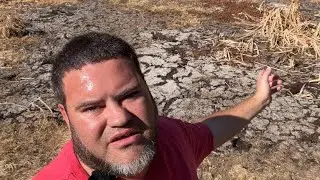 Сильная засуха высушила болота Флориды, впервые за многие годы обнажив труднодоступные районы!