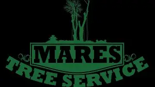 Mares Tree Service SEO Performance Scan ($300 Value)