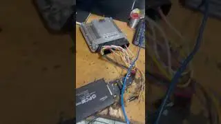 EDC17C64 Golf 7 Read and Write EGR OFF DPF OFF with PCM Tool ✅