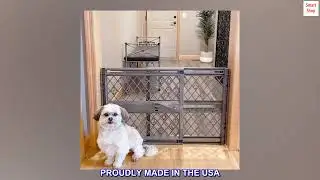 MYPET North States Paws 40
