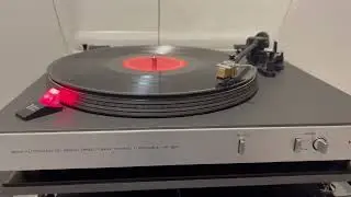 Pre-Phono T-Phonum mkII Clone (self made)