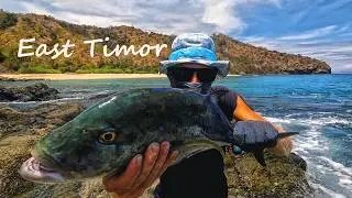 Camping Alone in Timor Leste 🇹🇱🏞️🏝️ | Wild Fishing Adventure Trip 🦈🐡