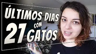 Dois Dias com 27 Gatos | VIDA DE GATEIRA #8