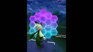 Trainer battle