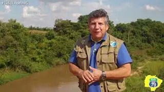 Rota MS 79 - Novo Horizonte do Sul