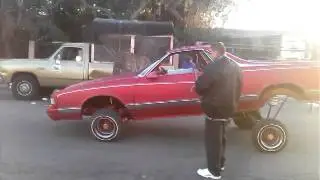 El camino (pro hopper)