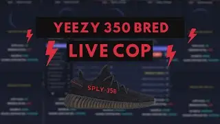 YEEZY 350 'BRED' LIVE COP / 62 PAIRS!!! / Kodai and Unknown Proxies