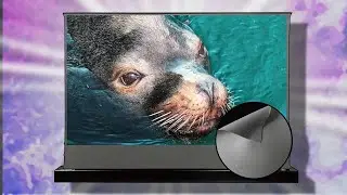 Vivid Storm ALR Projector Screen Review &ndash; Light Control Tested!