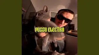 PUSSY ELECTRO