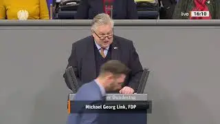Michael Georg Link, FDP