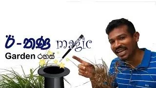 sri lanka magic ඊ තණ​