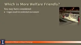 A Conversation About Animal Welfare