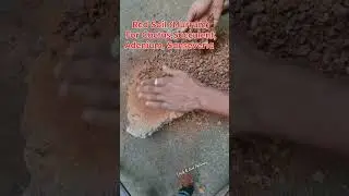 Murram or Laterite Soil processing for media #soilmix #pottingmix #cactussoil #succulentsoil