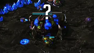 Why did you build a lair there?