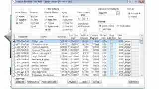 Balance Due Report and Late Fees