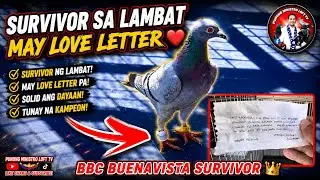 EP1234 BBC BUENAVISTA SURVIVOR MAY LOVE LETTER AT MAPUTIK NG DUMATING!
