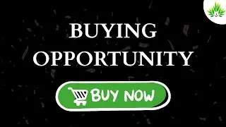 Buying Opportunity