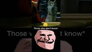 Smiling Dog?💀