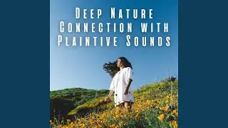 Nature Warm Chorus