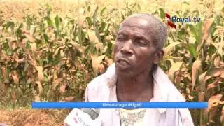 Ese gusezerana imyaka mike bikwiye kugera mun Rwanda ?