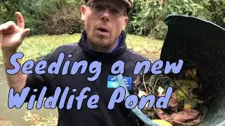 Seeding a new wildlife pond | Seeding a new dragonfly pond