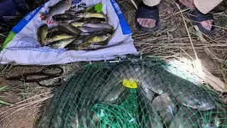 C&acirc;u c&aacute; #99[ Một ng&agrave;y l&agrave;m ngư d&acirc;n: Cắm c&acirc;u C&aacute; L&oacute;c, giăng c&acirc;u C&aacute; Lăng miền s&ocirc;ng nước.]