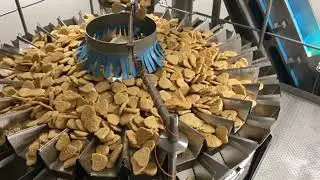 Cabinplant Multihead Weigher with Vibratory Feed for Breaded Chicken   Food Industry Automatio1