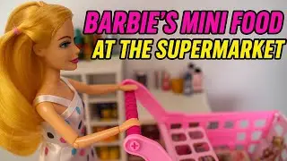This Barbie Doll Supermarket Shopping Spree is Insane!
