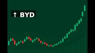 BYD Surpasses Hyundai in Indian EV Sales Amid Homologation Progress