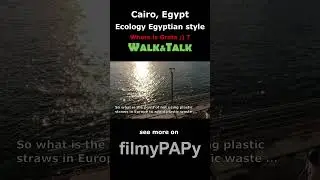 Egyptian Ecology #travel #africa #africatrip #cairo #egypt #egypttrip #ecology #egypttravel #kair