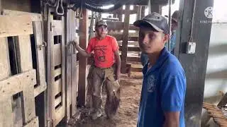 Manejo de registro de PA ABCZ