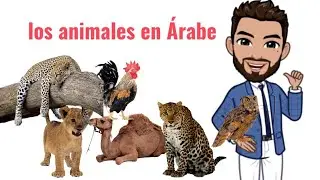 los animales en Árabe